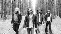 Them Dirty Roses thm_bands_them_dirty_roses
